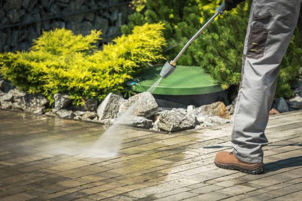 Best Building Exterior Washing  in Napili Honokowai, HI